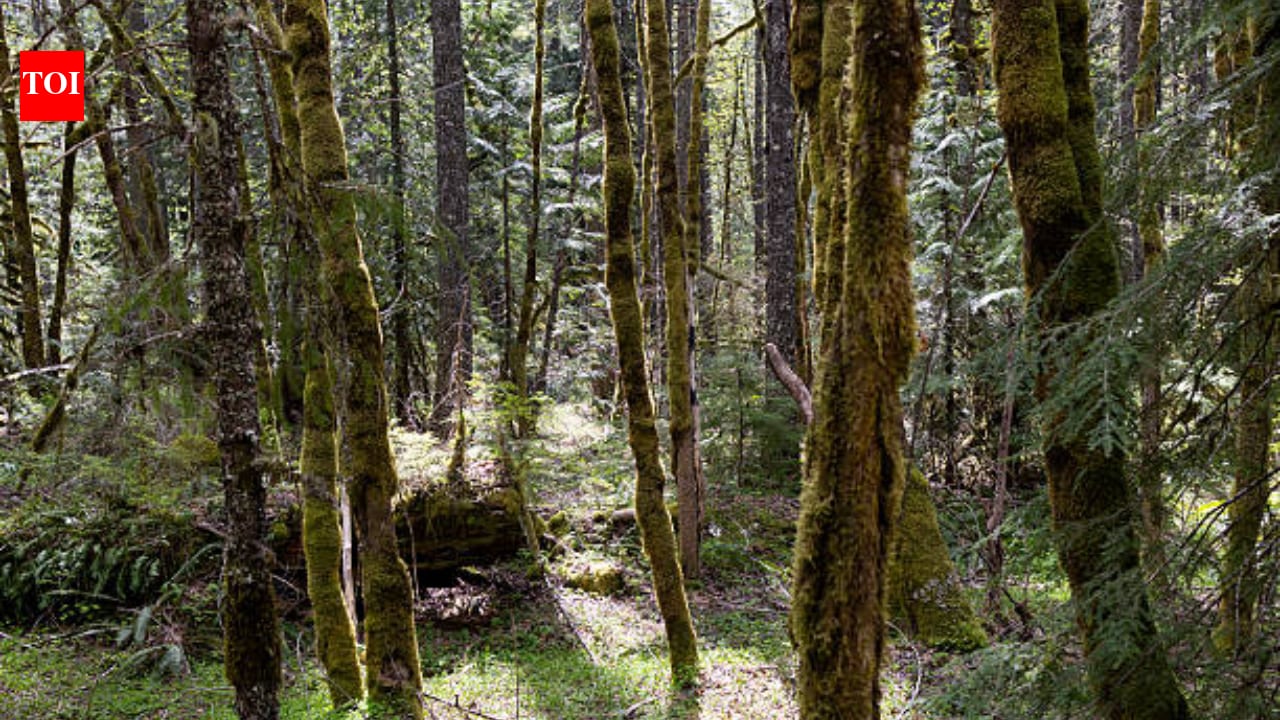 New Jersey couple gave away 90-acre estate; land is now a free public preserve