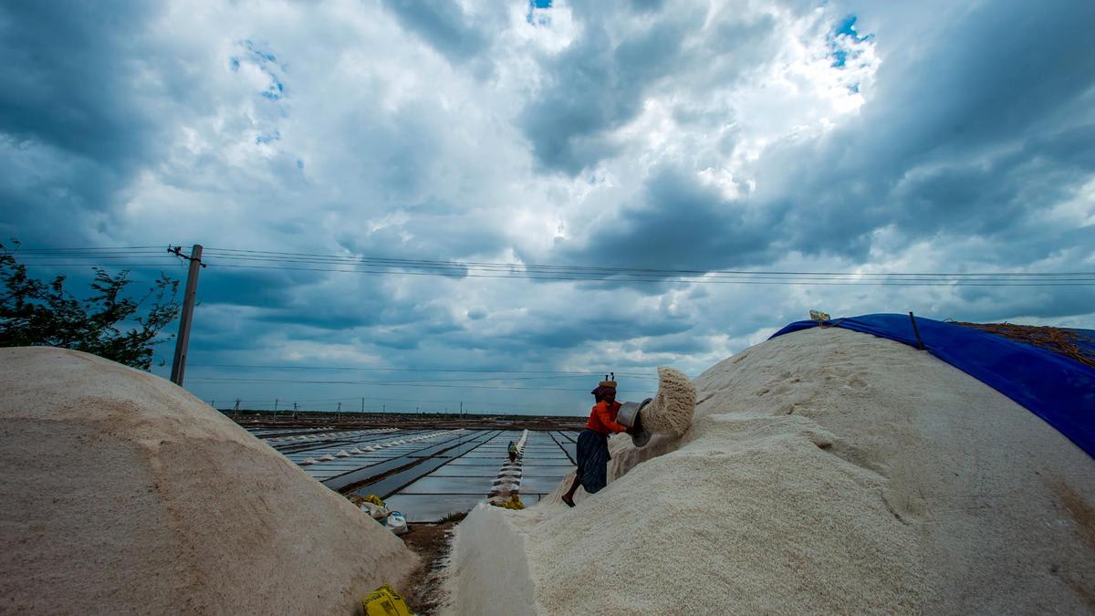 Heavy rains, squally wind likely in West Bengal from September 22