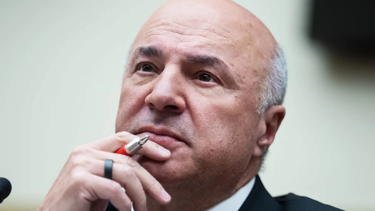 Kevin O'Leary sold his software company for $4.2 billion, so why did he only walk away with about $11 million?