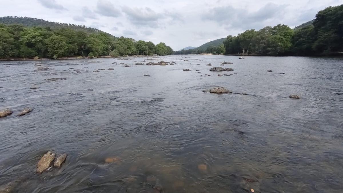 Tamil Nadu explains to Cauvery Authority the rationale behind its demand for clearing backlog of 16 tmc ft