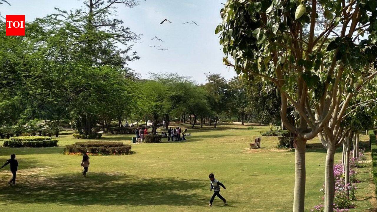 7pm temple, 7.30 park, 8.45 PCR call: Timeline of how 3 fake cops gang-raped Delhi teen
