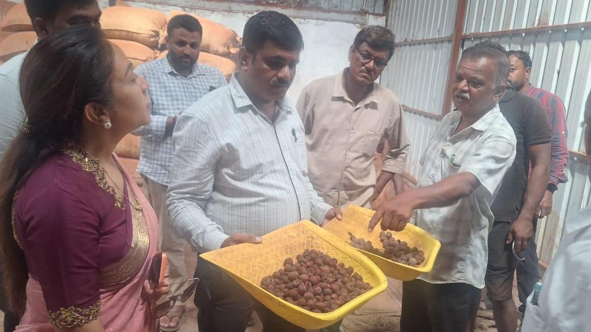 Officers visit areca godowns, ask merchants not to use chemicals during processing