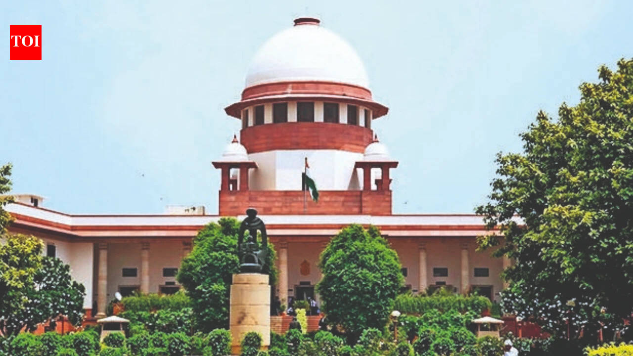 'Naxalites can't make law': Heated exchange between lawyers during Vande Mataram hearing