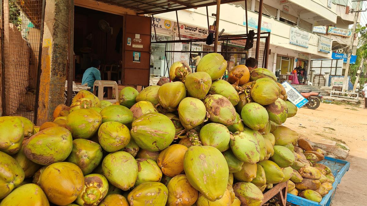 Price surge: Onion, tender coconut, lemon prices soar in Yadgir’s open market