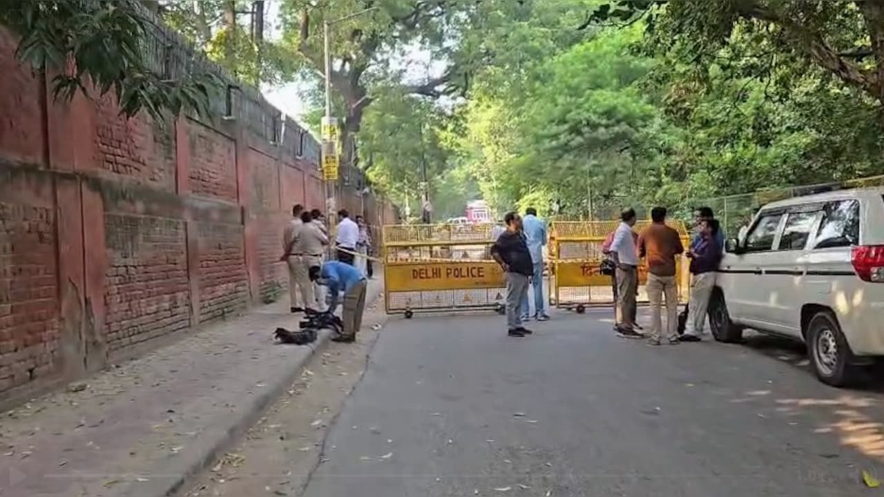 After Teen's Gangrape, Delhi Lt Governor Orders Safety Audit Of All Parks