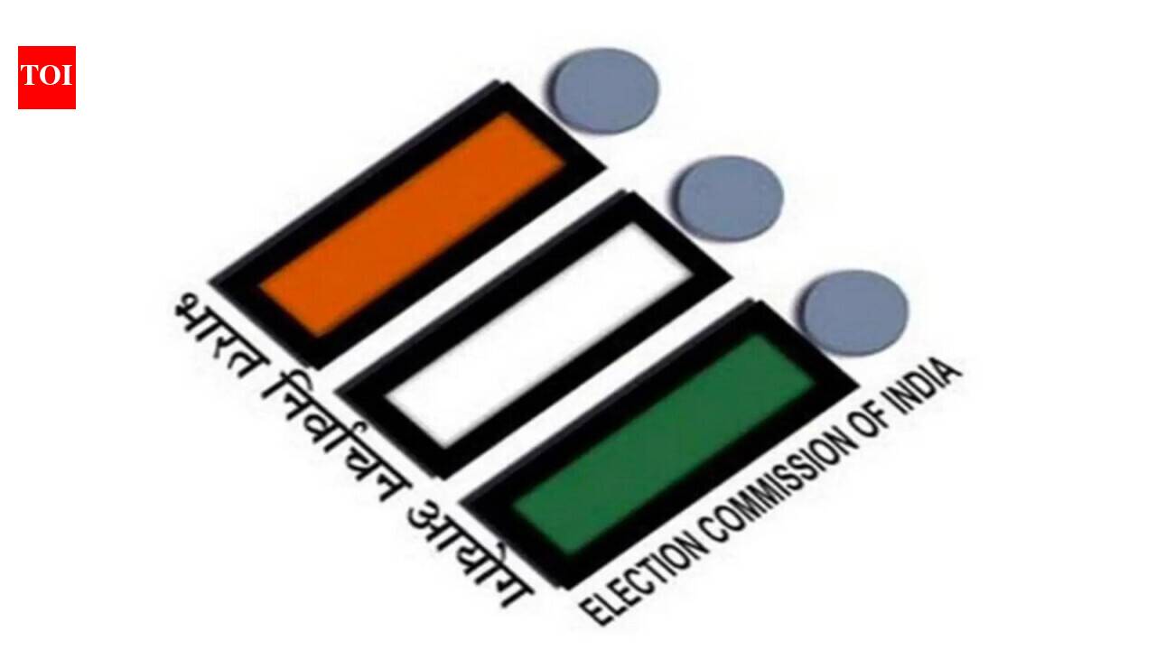 'No eligible elector will be left behind': Goa CEO clarifies on 97 missing voters