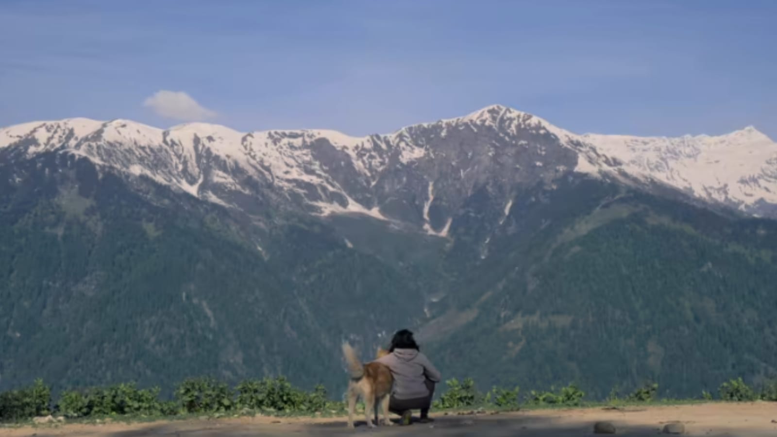 At IIC today, a film on how a Husky from Pune took his human to the snow