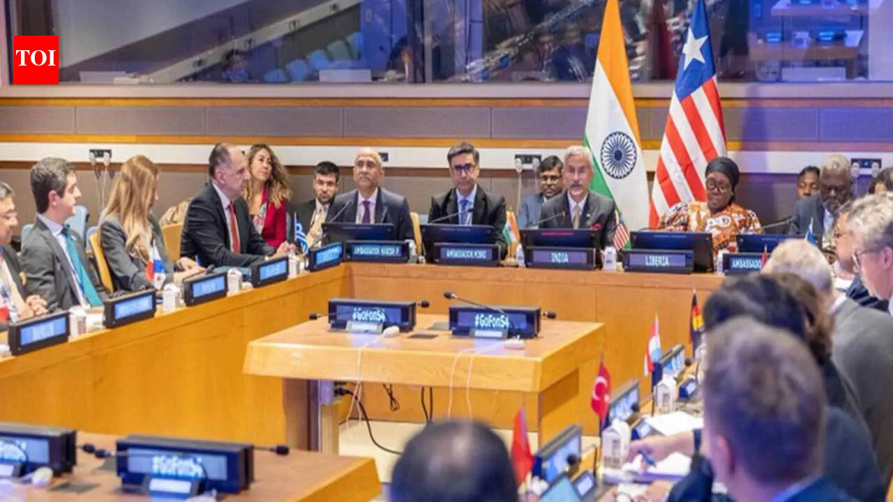 On UNGA margins, India & Liberia set up sailors' safety body