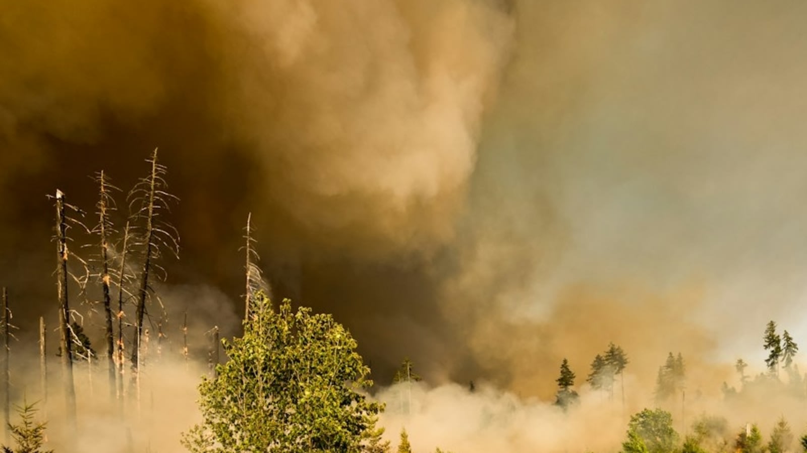 Fire near Tri-Cities and West Richland: Map, evacuation updates as wildfire spreads in Benton County, WA