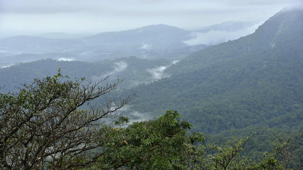 Western Ghats protection: Section of residents, environmentalists counter Karnataka politicians’ claims