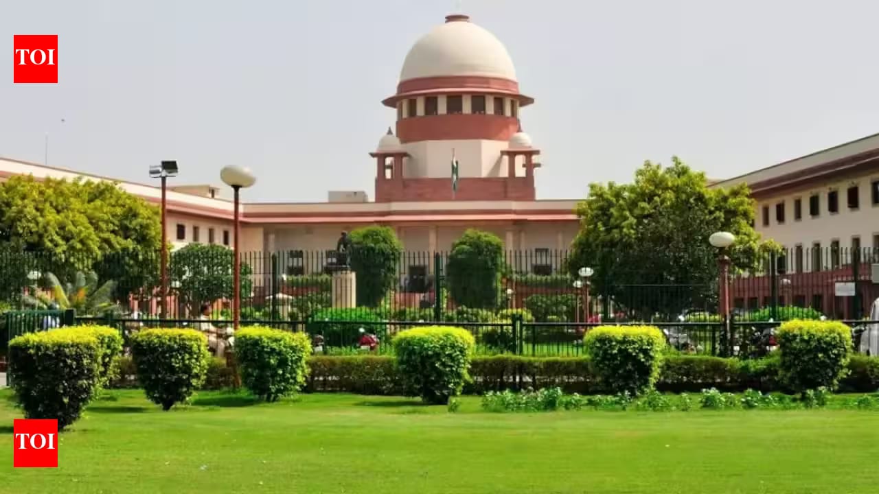 Growing sexual assault cases in Delhi: SC draws parallel to 2012 Nirbhaya gangrape