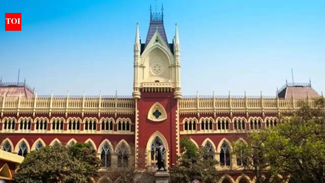 'If EC guided by private party, then what remains?' Calcutta HC