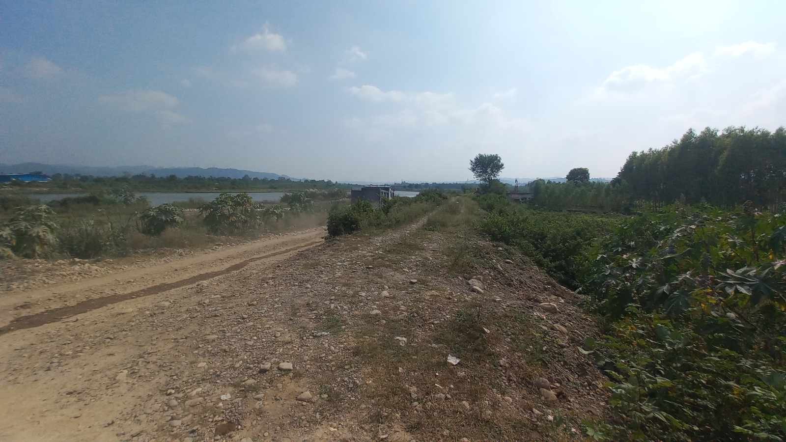 Stone crushers back near Himachal national park months after eco label dropped