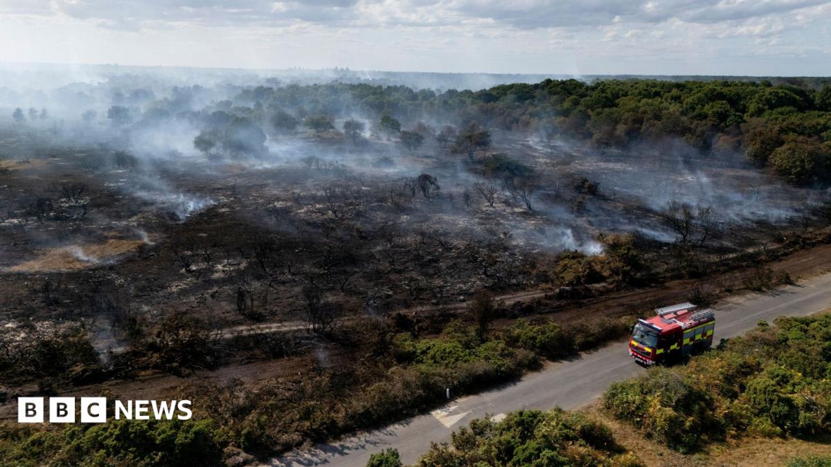 Lives 'will be lost' unless UK does more to combat wildfires, committee chairwoman says