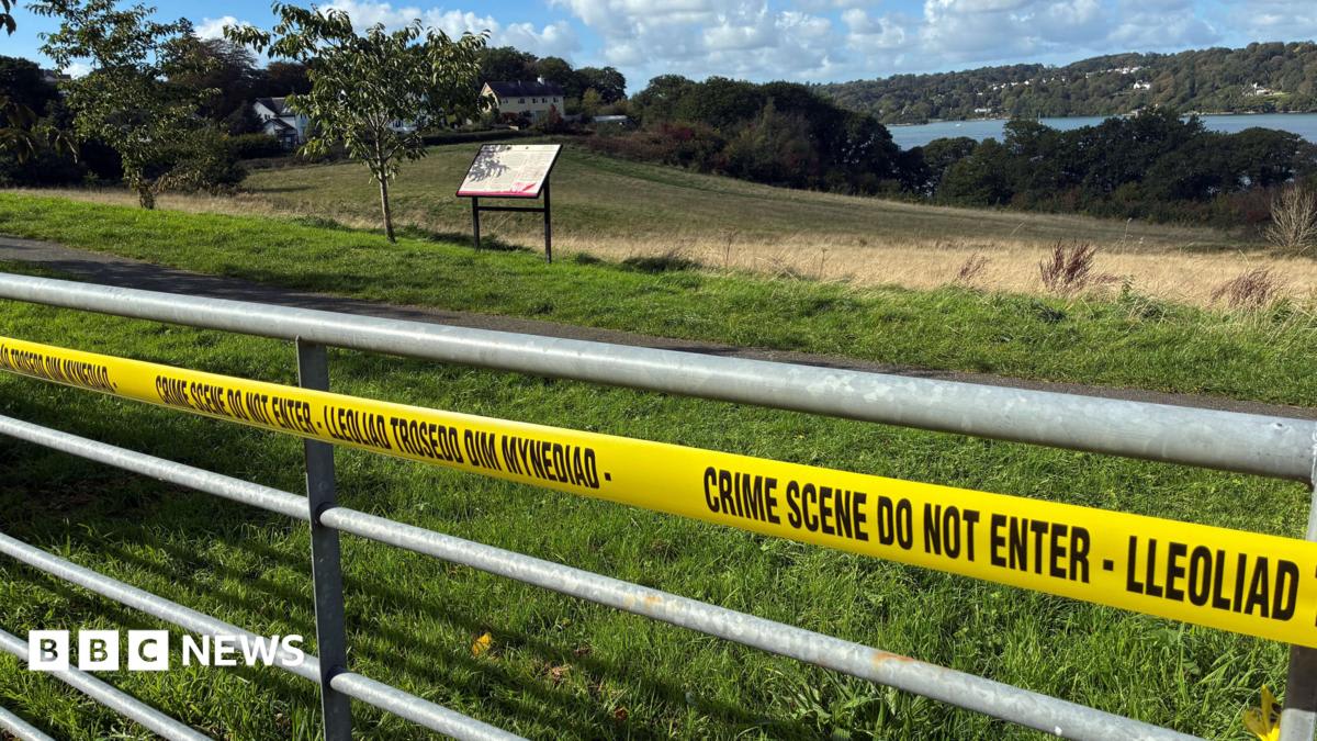 Body of newborn baby found on shoreline in Wales as police search for mother