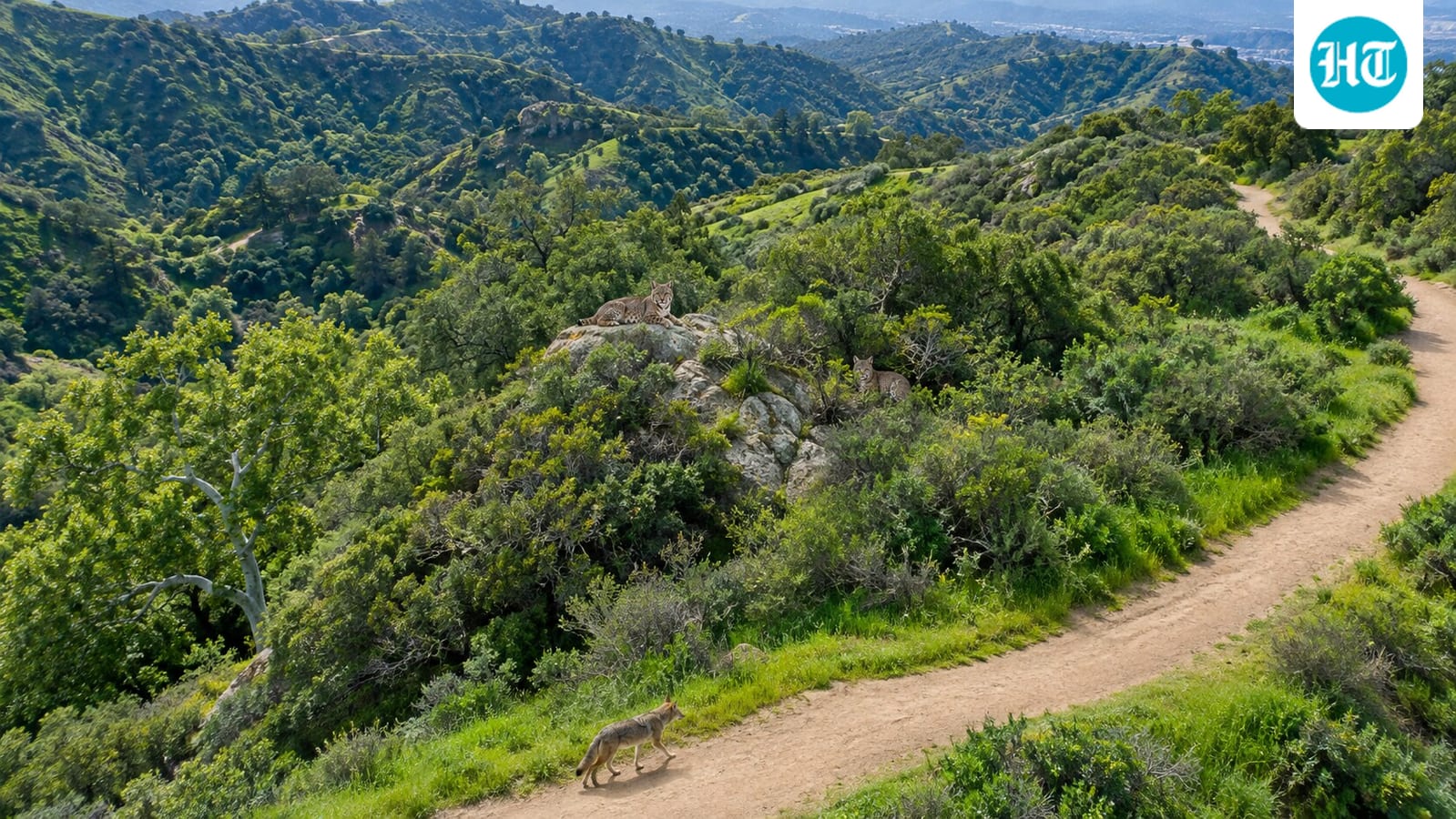 Jeopardy's Alex Trebek donated 74 acres in 1998; his $2 million gift helped protect wildlife and open space
