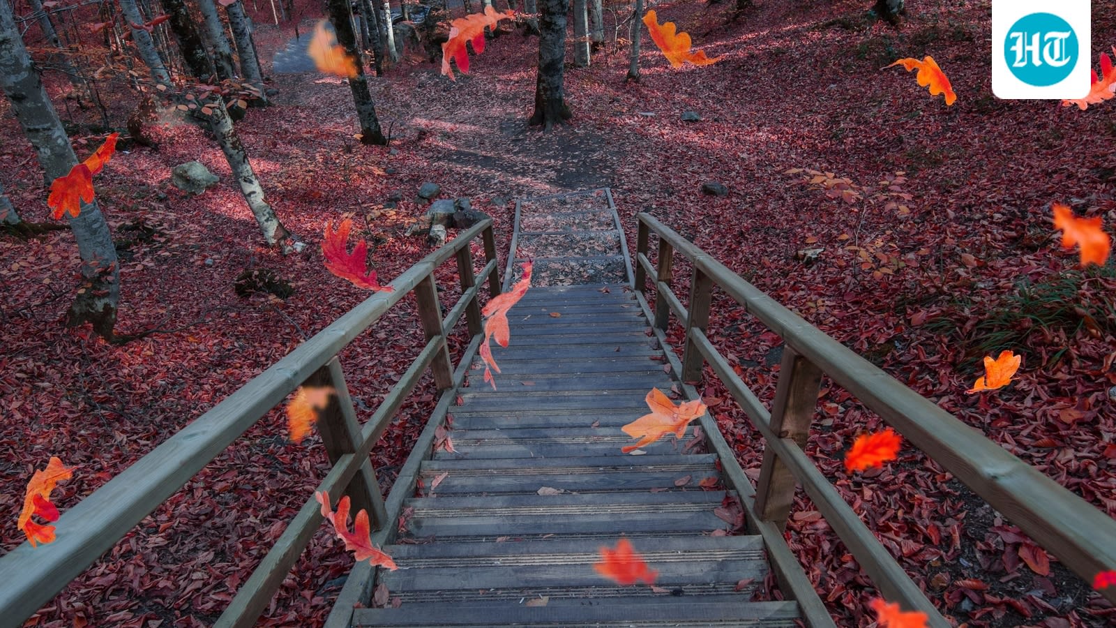 Cleveland Clinic says the end of summer can affect your mood. Try these simple ways to welcome fall
