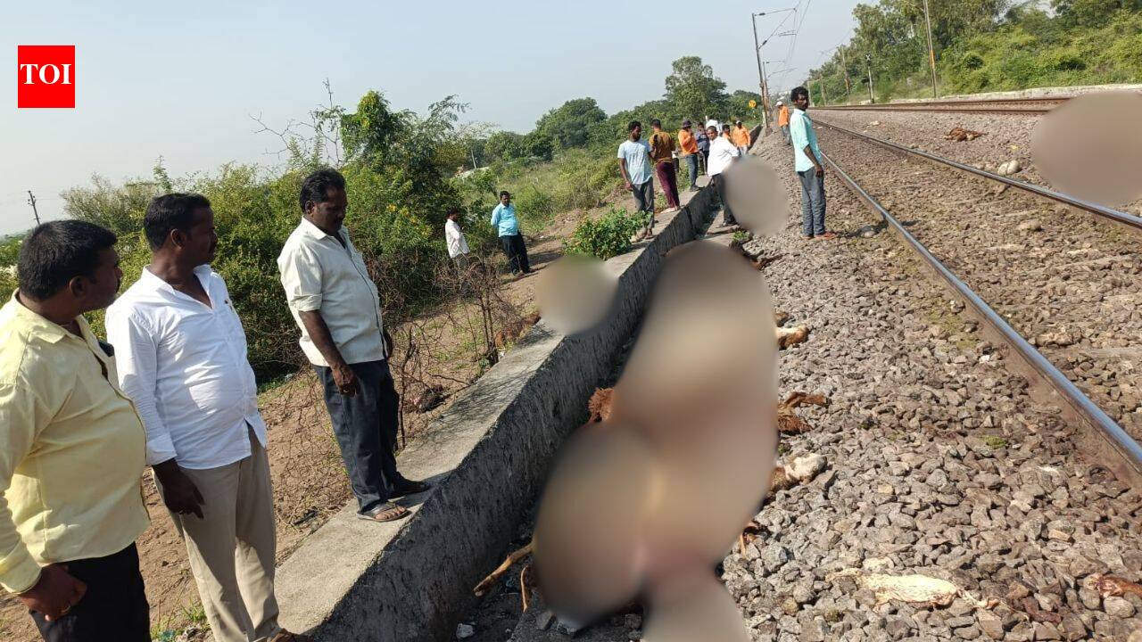Delhi-Hyderabad train runs over sheep; RPF puts toll at 195, owner at 375