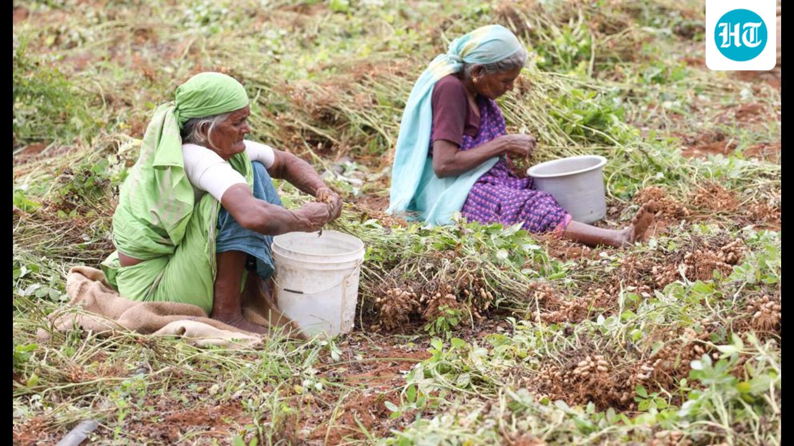 India’s elderly women need better social security cover
