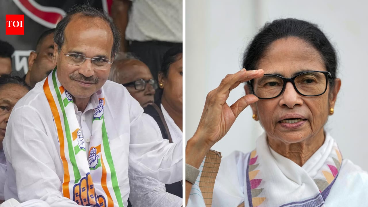 'We would work under you': Adhir invites Mamata to rejoin Cong, but with a condition