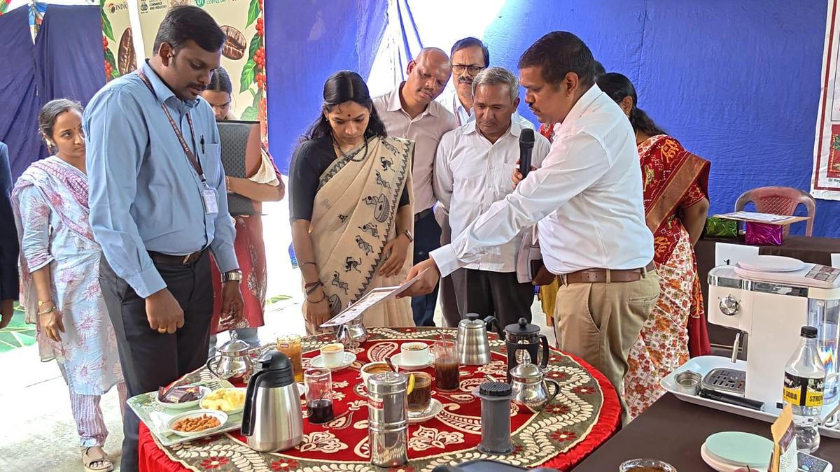 International Coffee Day: ASR district eyes better returns for coffee growers