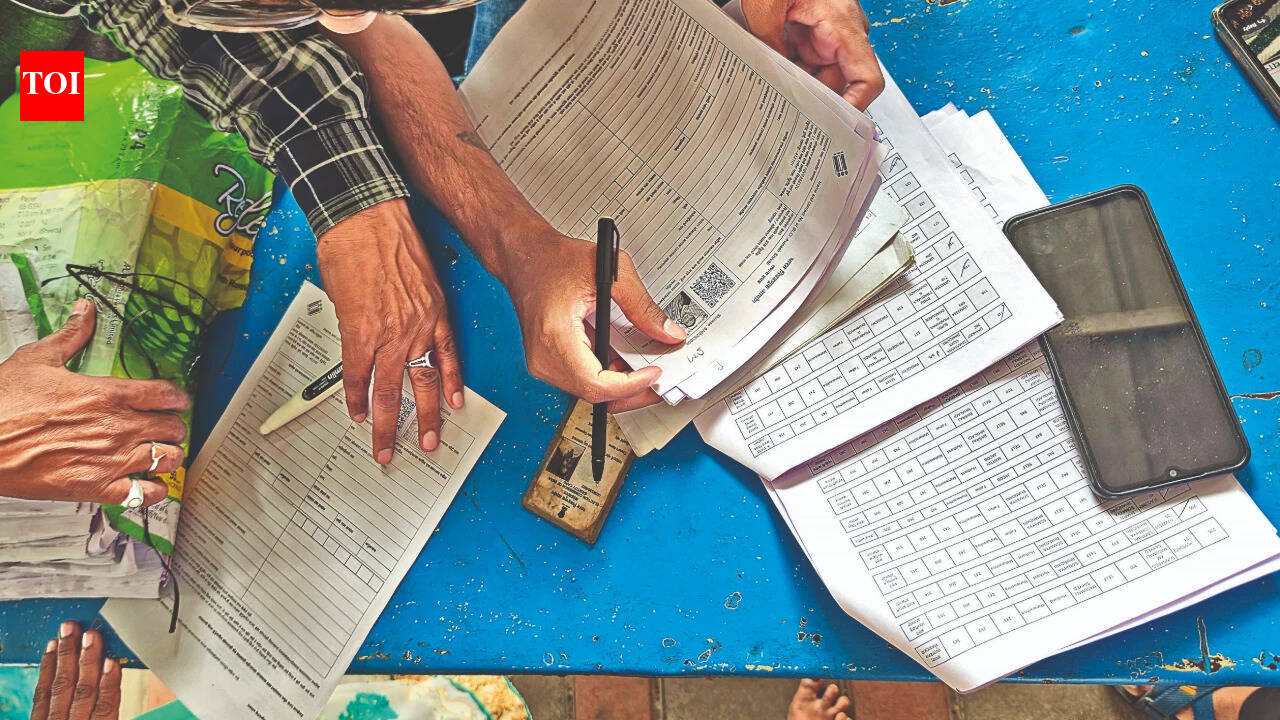 Of 97 left out in Goa, 88 are back, 3 others are Portuguese citizens: EC