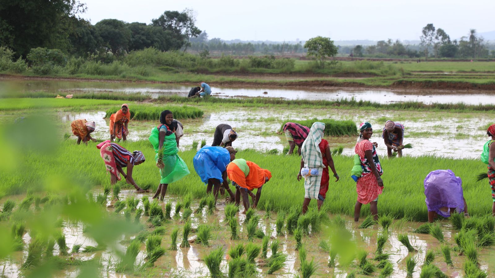 Women farmers must be at forefront of agricultural policymaking: RSS leader Ramlal