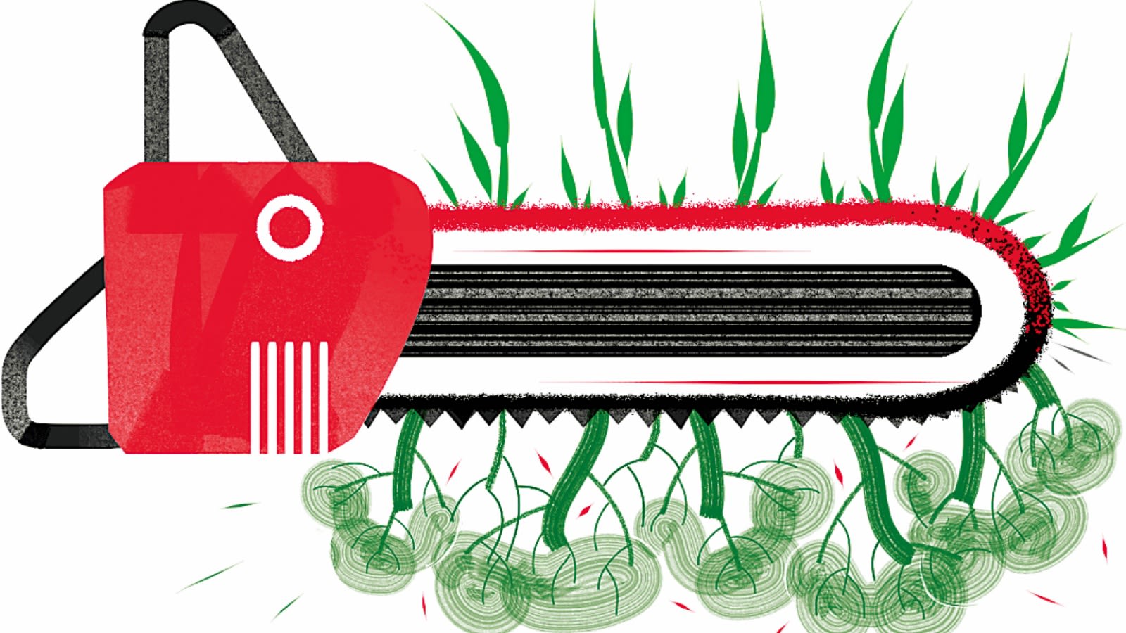 How not to restore a forest — the inept dismantling of Delhi’s Central Ridge