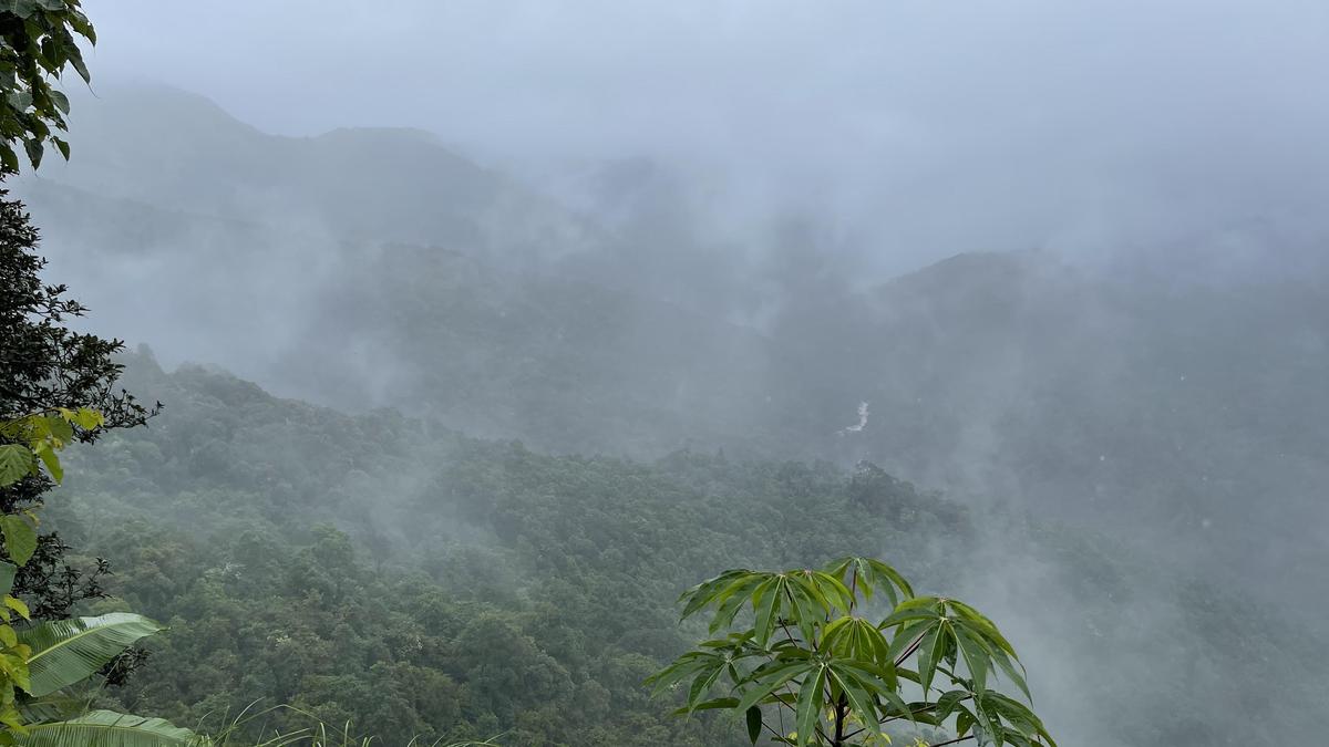 Mapping of two Western Ghats districts shows much of proposed ESA overlaps with Notified Forests, Protected Areas, or existing ESZs