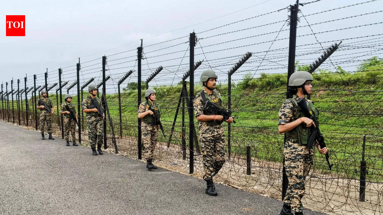 India summons Pak envoy over 'cross-border infiltration', rejects Ferozepur claims