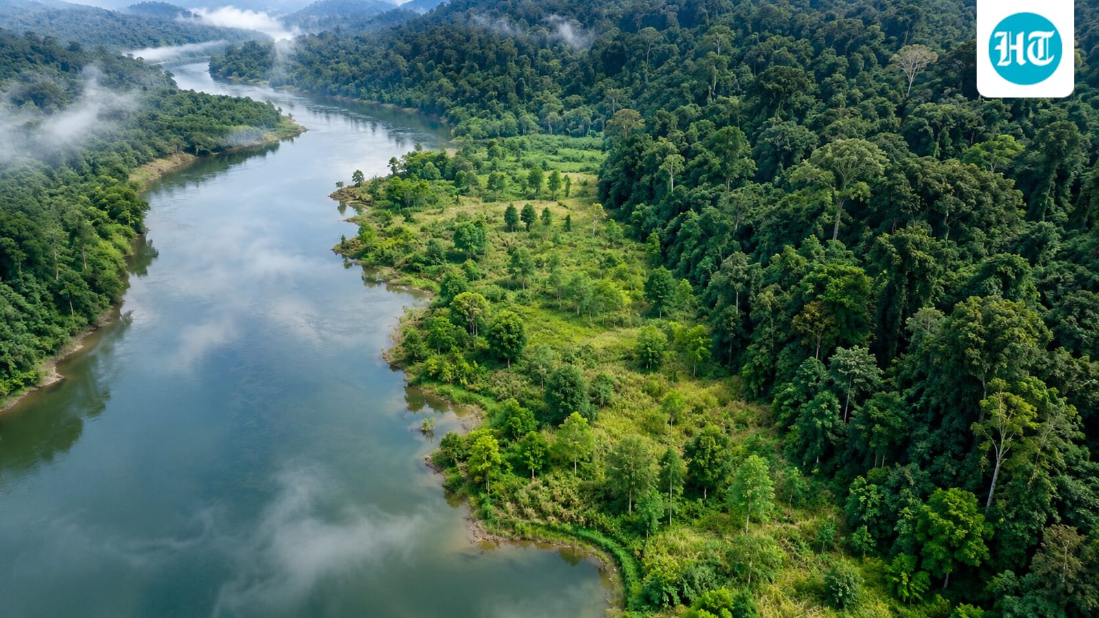 In 2003, China planted native tree patches along a degraded riverbank; 20 years later, they held 19-30% of a rainforest's diversity