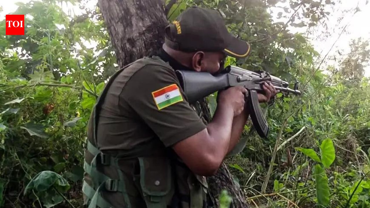 J&K: Security forces launch search op for suspected terrorists in Rajouri, Udhampur
