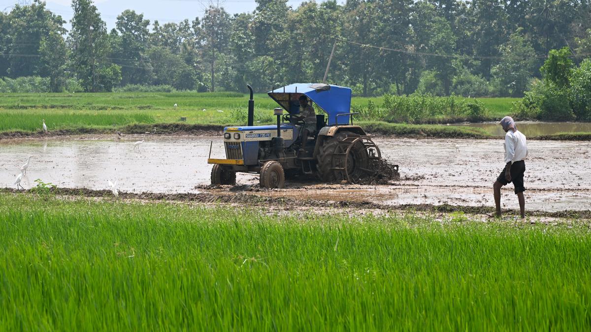 Most of rural agricultural workers landed in non-productive, informal urban jobs in 25 years: study