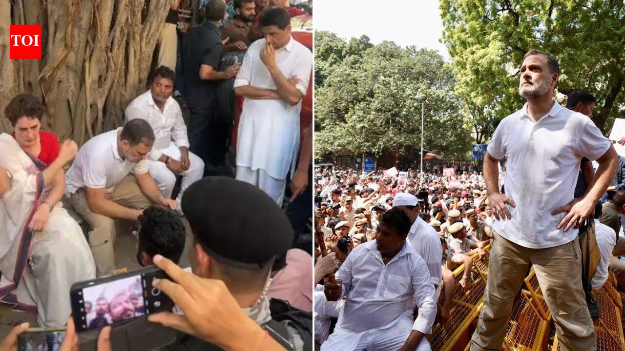 High drama at Rahul-led CEC protest - how it unfolded