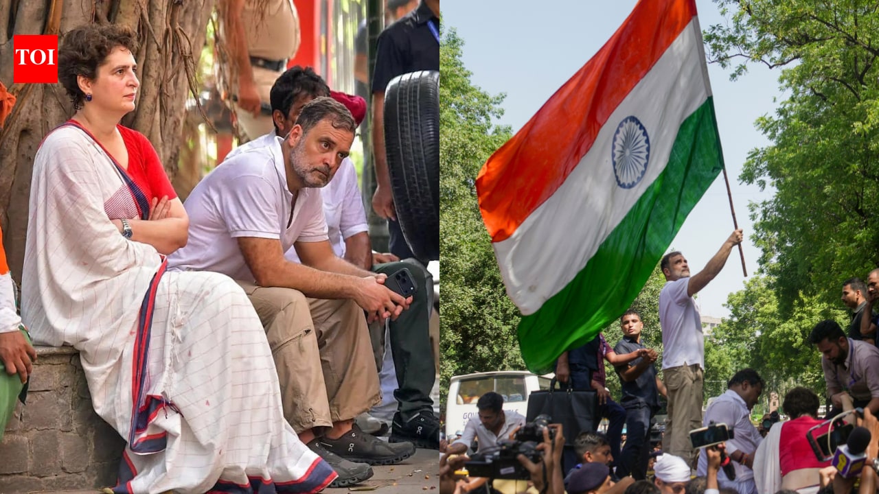 'Dhappa': Cops tried to stop INDIA bloc march to EC; Rahul pulled a surprise