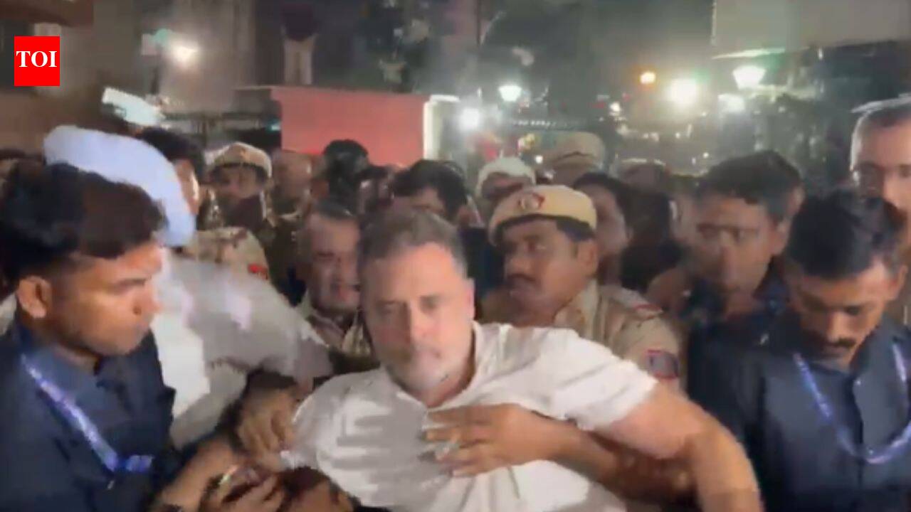 'Everything will be remembered': Cong posts videos of Rahul, Priyanka manhandled by cops