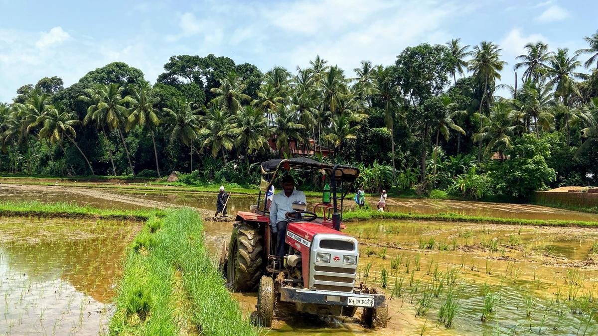 Agri extension expert seeks slashing of GST rates for farm sector to retain farmers in agriculture and ensure food security