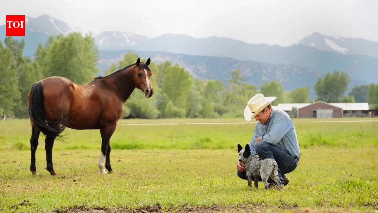 Colorado family protects 650 acres of six-generation ranch after 150 years
