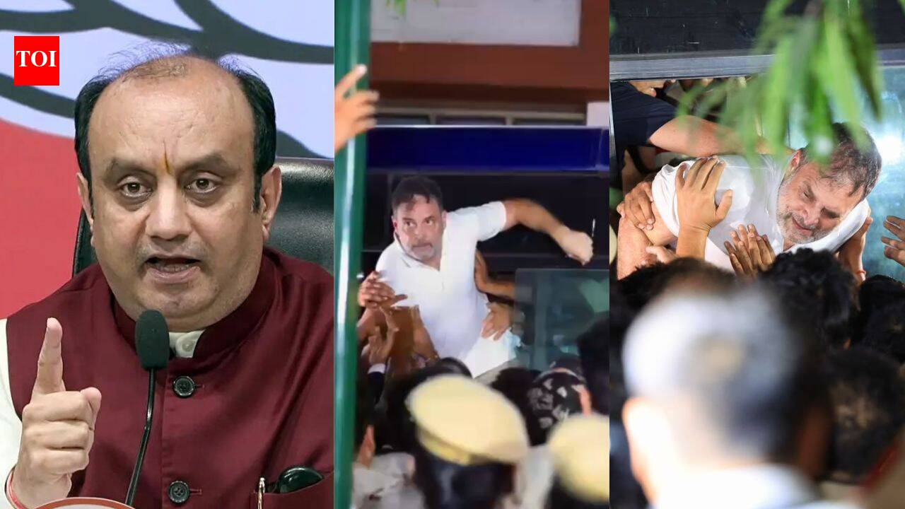 'Expert in theatrics': BJP its out at Rahul over protest 'drama' at Akashvani Bhawan