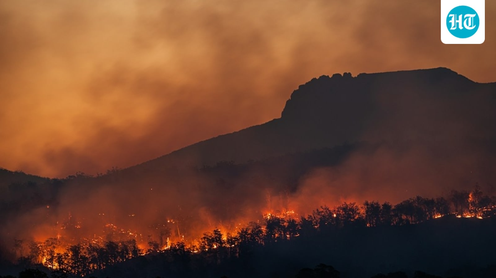 Carancho Fire near Fallbrook, Temecula in California prompts emergency response; scary videos emerge as Headsburg residents wonder what's burning
