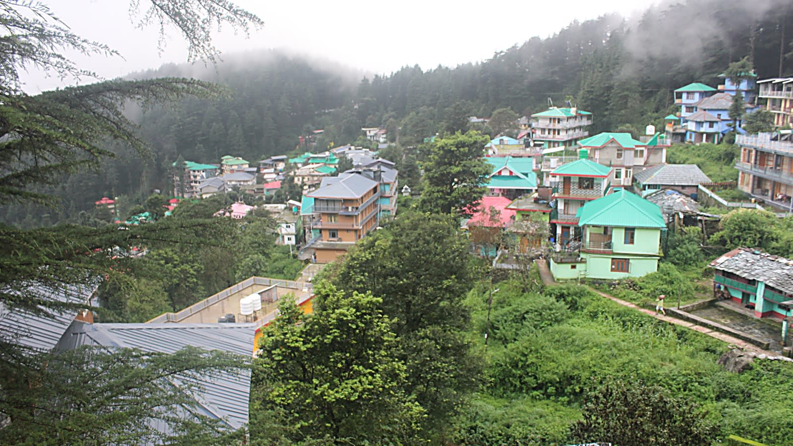 ‘It feels like home’: How a small village in Himachal became ‘Mini Israel’