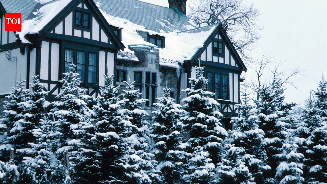 Ohio neighbour cut 15-foot spruce; court upholds $11,523.87 damages