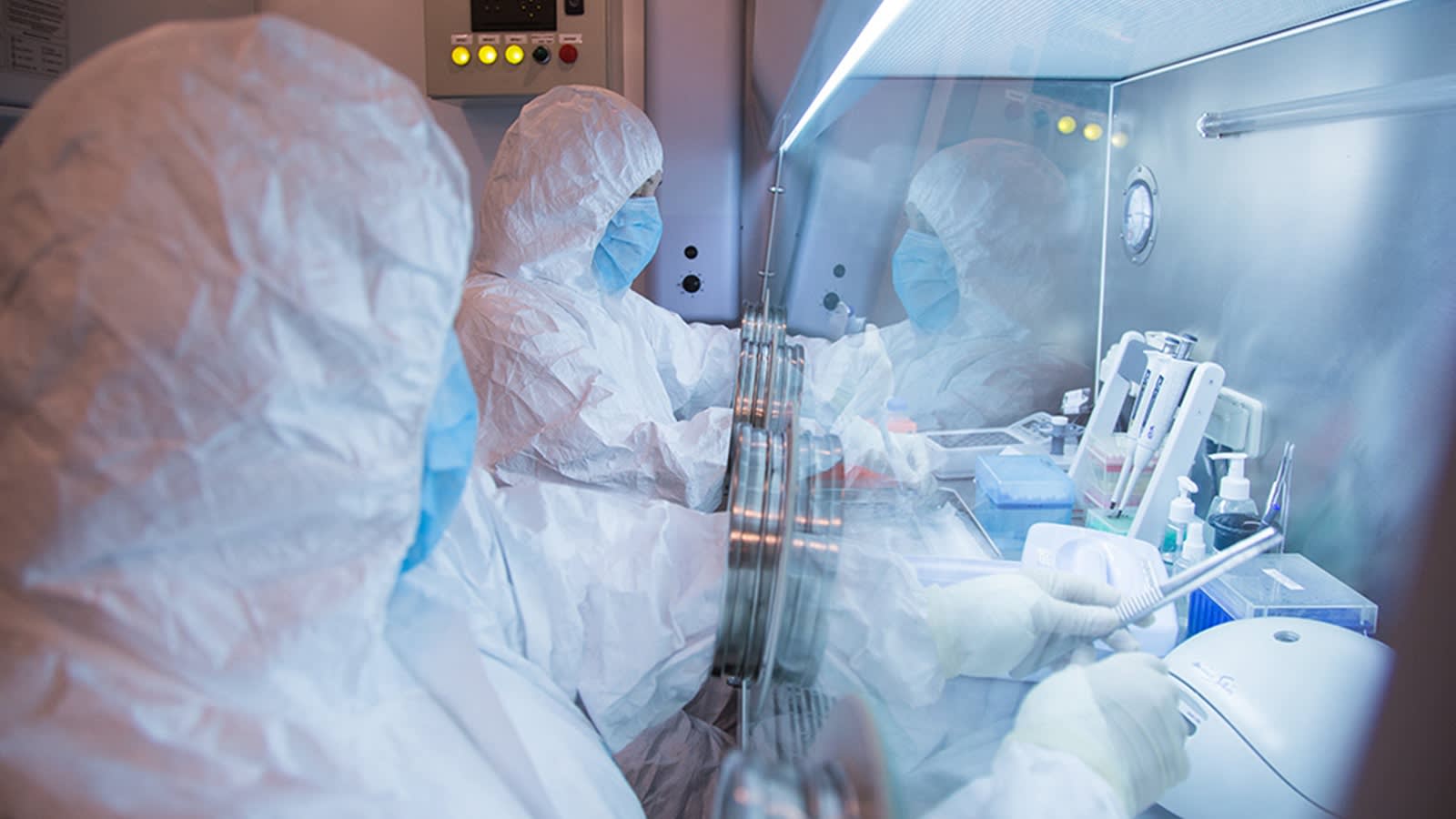 US issues urgent Russia travel alert after lab worker Darya Shipilova dies in suspected plague case