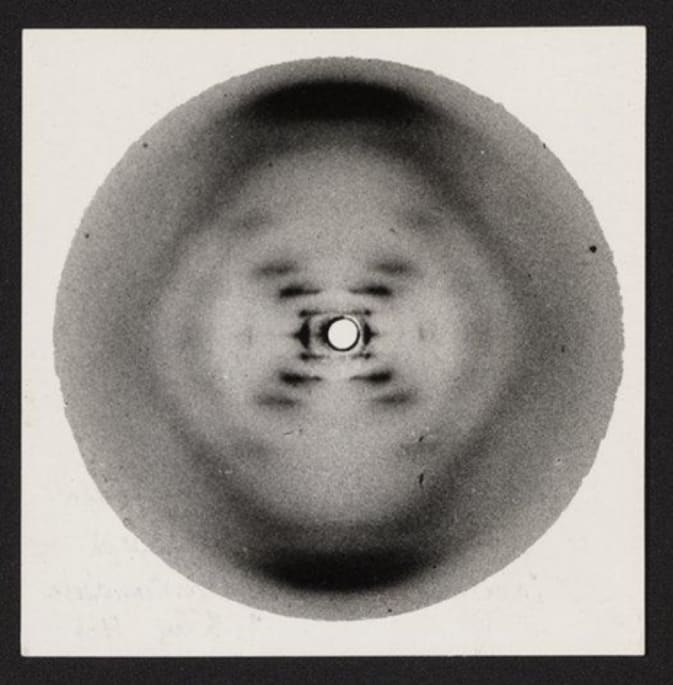 Despite what Watson said, Rosalind Franklin understood structure of DNA first