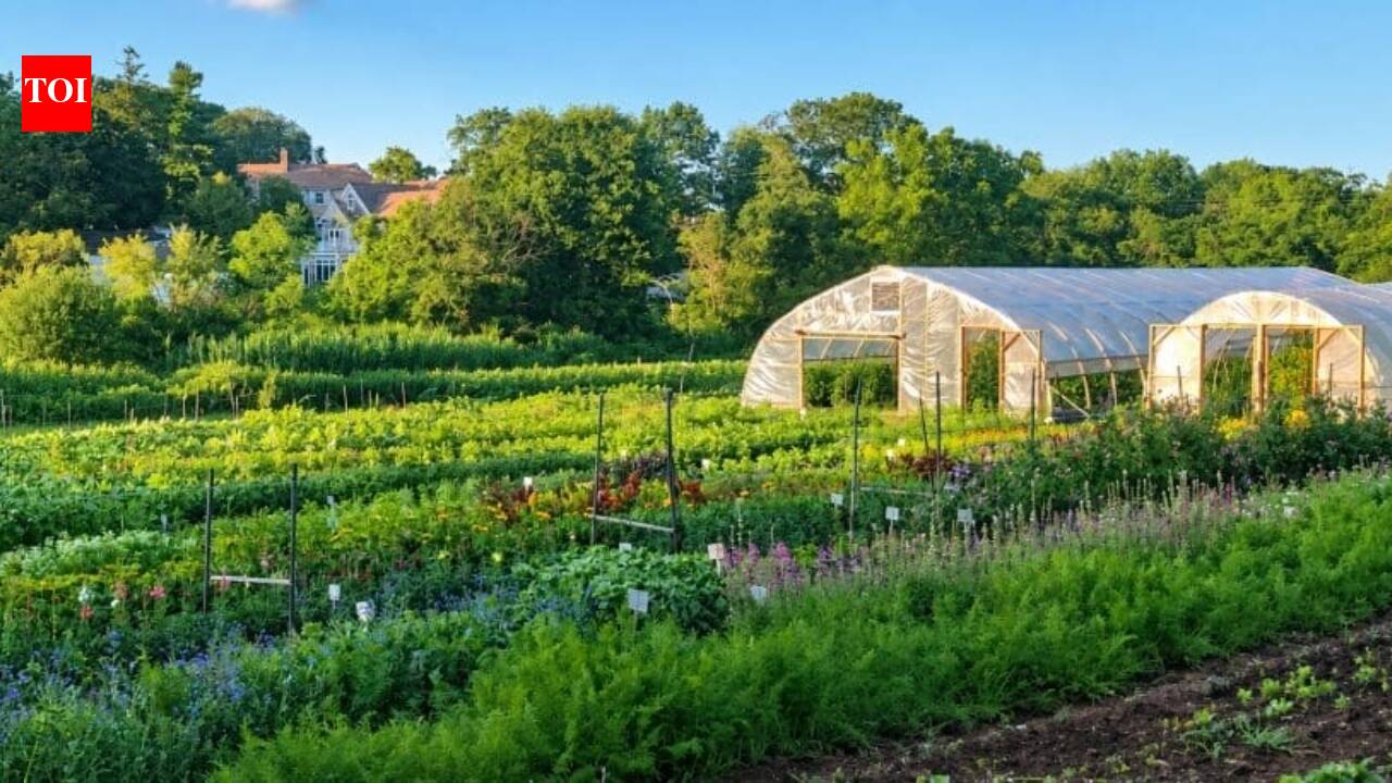 Massachusetts family farm protected after $4.9 million rescue