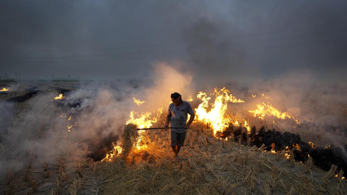 Why stubble fires keep coming back