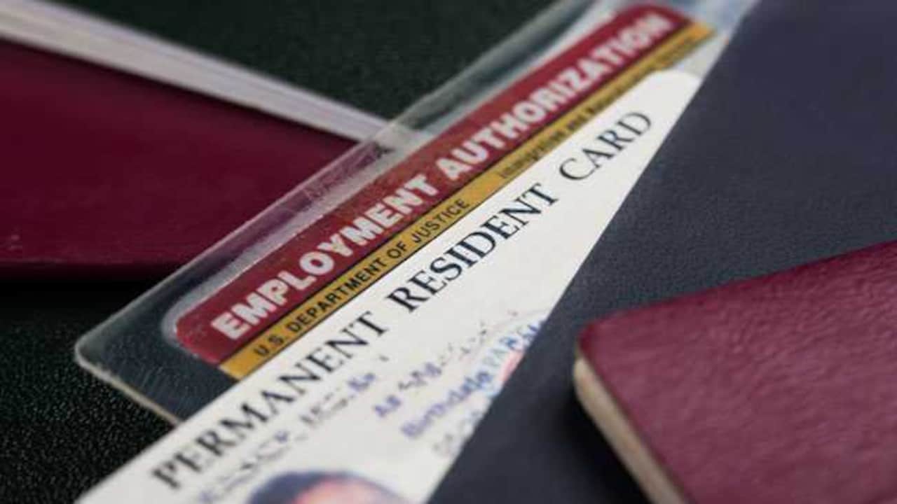 US Bars Tata, HCL, Infosys Among 8 IT Firms From Green Card Filing. What It Means For Indians