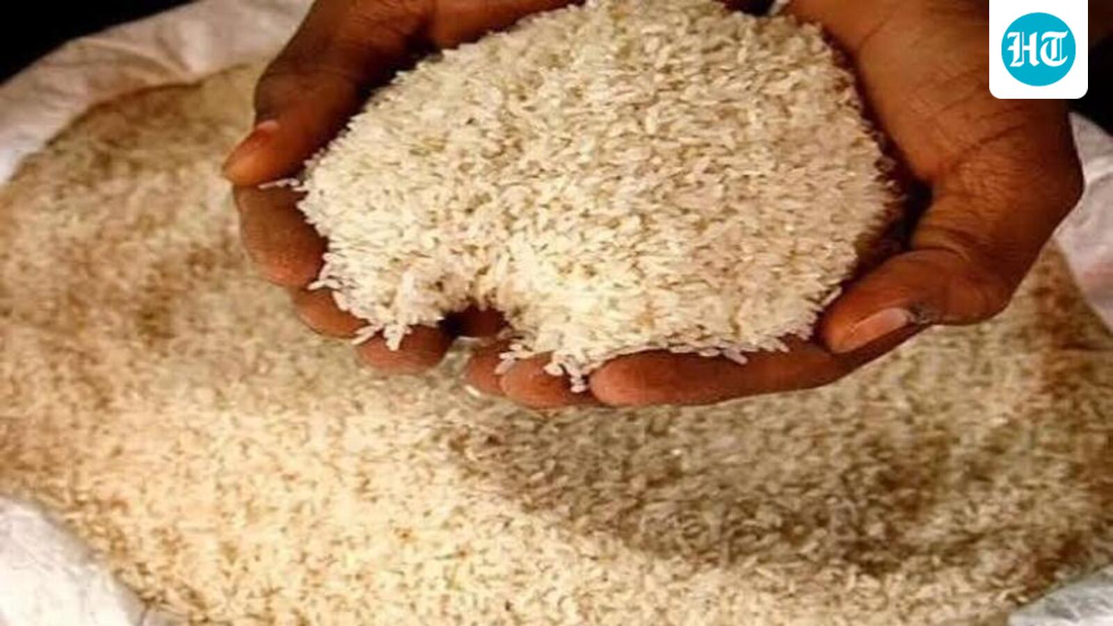 Karnataka seizes 565 tonnes of subsidised rice meant for public distribution