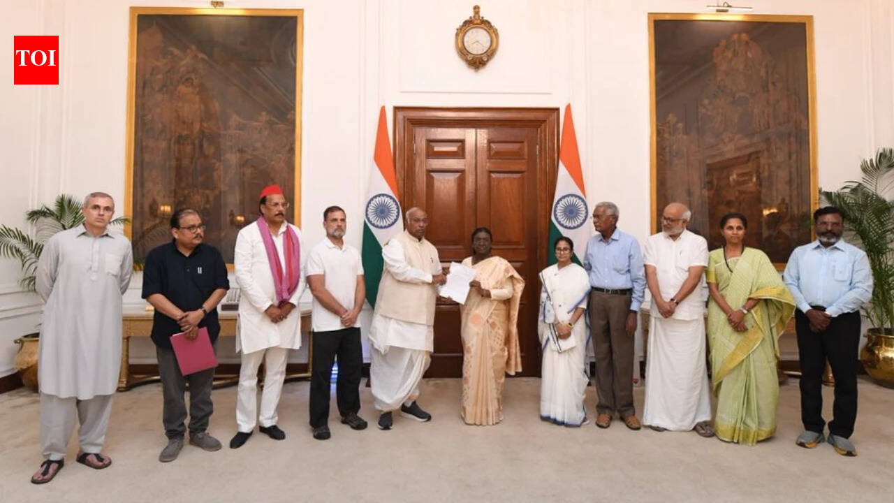 'Repeal all assembly polls over last 2 yrs': INDIA bloc MPs meet Prez, make 4 big demands