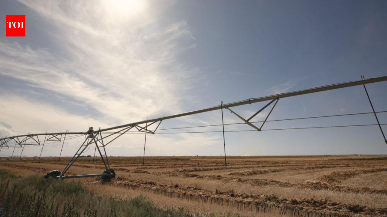 Idaho family sues after irrigation shutoff ruins crops on 1,000-acre farm